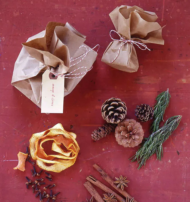 10 Ideas for recycling Trader Joe's washable paper bags
